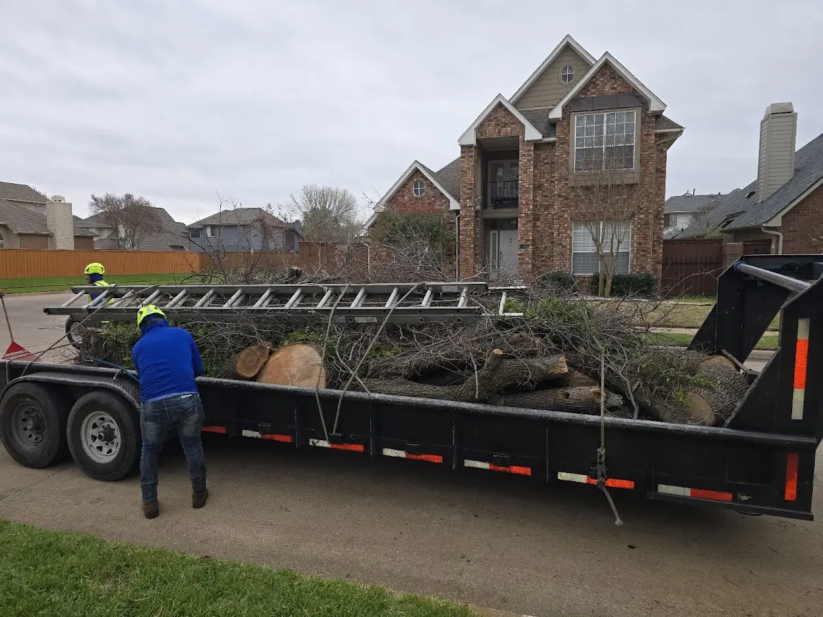 Expert Tree Fertilization with proper safety equipment in Gamaliel